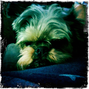 Hip 335546578.046442