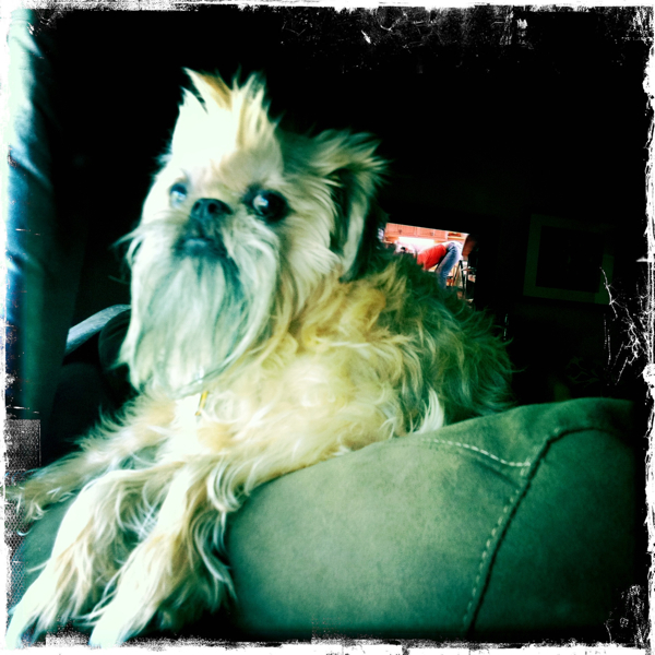 Hip 335547737.915343