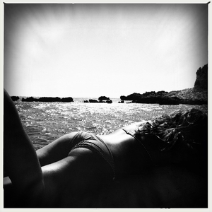 Hip 335541088.914646