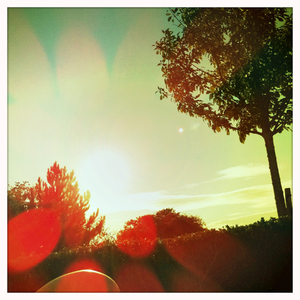 Hip 335469429.978148