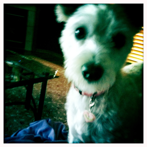 Hip 335492905.735100