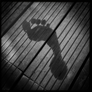 Hip 335548922.524318