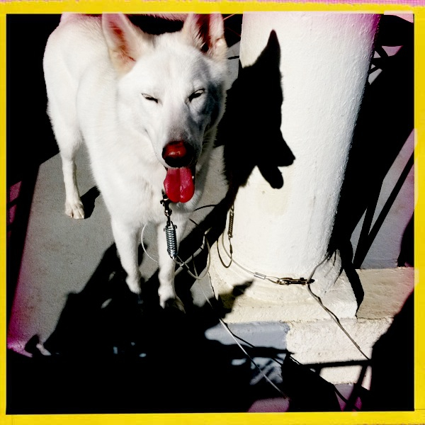 Hip 335061717.678184