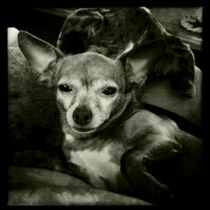 Hip 335048417.537518