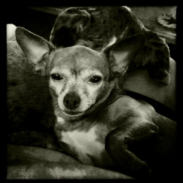 Hip 335048417.537518