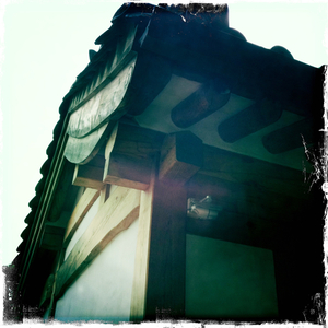 Hip 335421536.681874