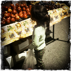 Hip 334955808.785747