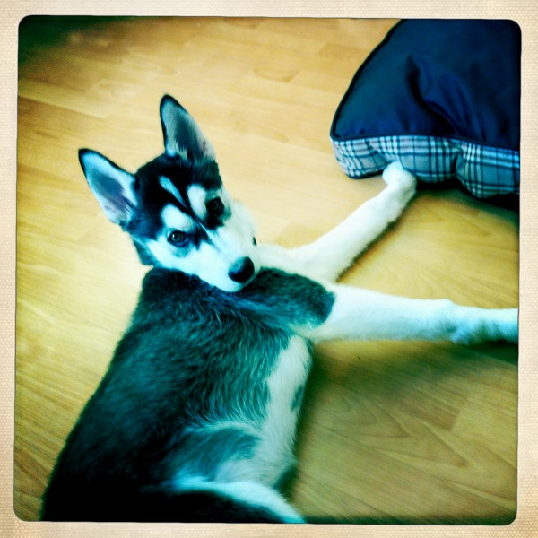 Hip 335551675.911055