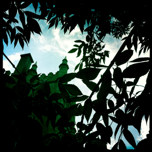 Hip 334700293.482111