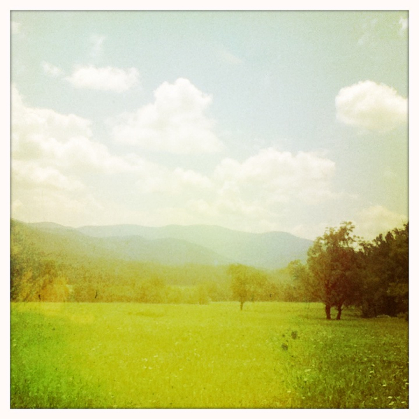 Hip 333828537.431846