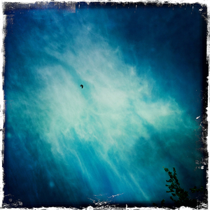 Hip 335551768.491768