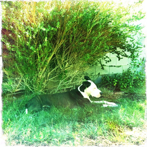 Hip 335554880.739035