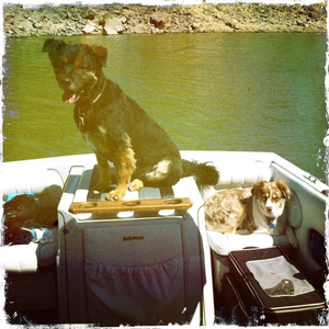 Hip 335050430.092143