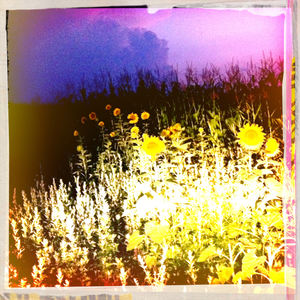 Hip 335406069.338748