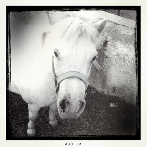 Hip 335552812.746313