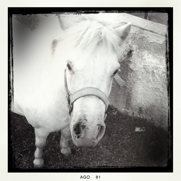 Hip 335552812.746313