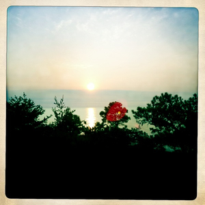 Hip 333542028.755058