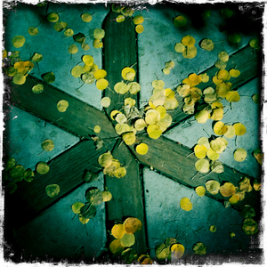 Hip 308869948.493040