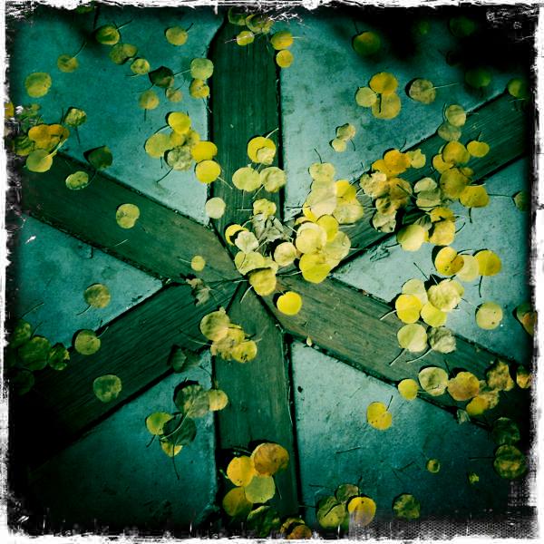 Hip 308869948.493040