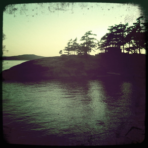 Hip 334379843.372286