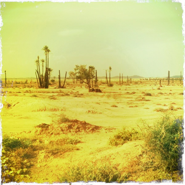 Hip 335465081.352597