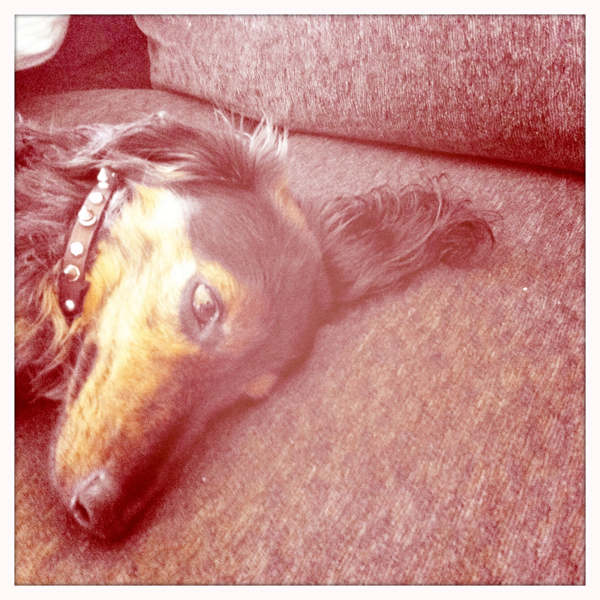 Hip 335557014.851118