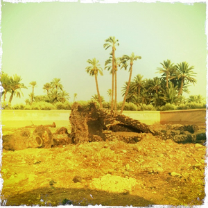 Hip 335555641.736023