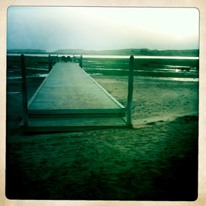 Hip 334955117.522981