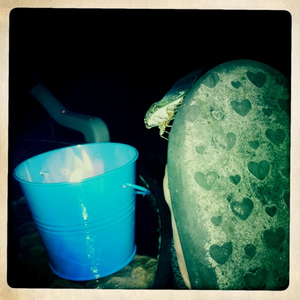 Hip 335506501.270906