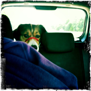 Hip 335557898.657277