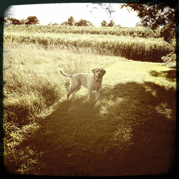 Hip 335224856.274176