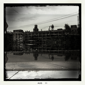 Hip 333921071.255415