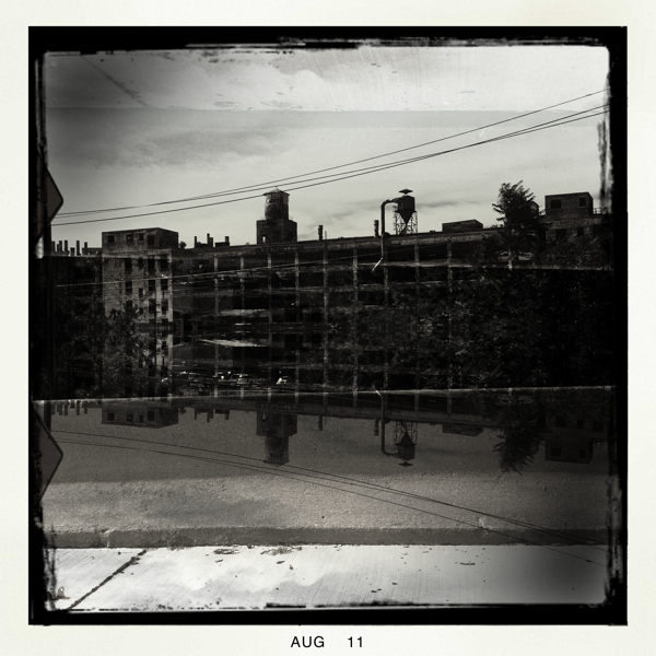 Hip 333921071.255415