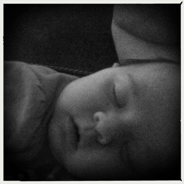 Hip 335558276.262778