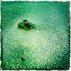 Hip 335387384.120631