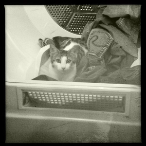 Hip 335543475.778525