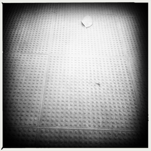 Hip 331803745.702050