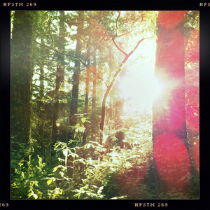 Hip 335496544.929706