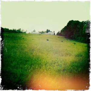 Hip 335557591.427327