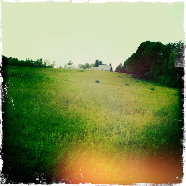 Hip 335557591.427327