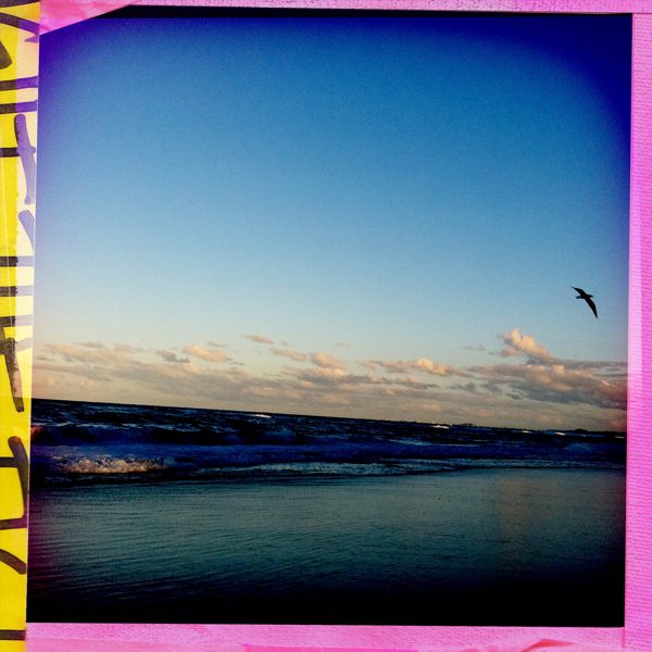 Hip 334220336.602122