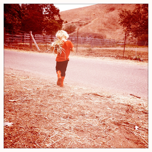 Hip 335560449.359749