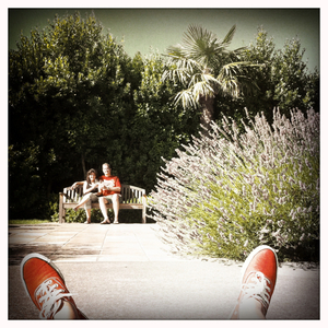 Hip 335230424.293818