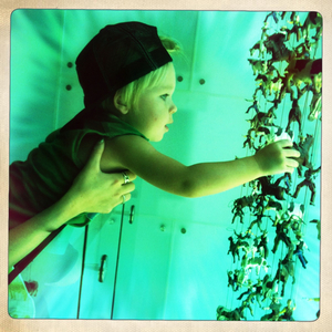 Hip 333309714.130832