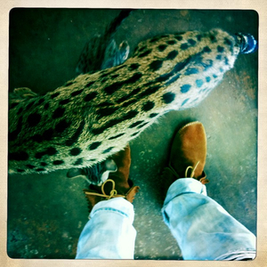 Hip 335560252.884991