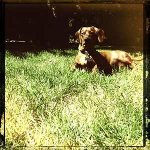 Hip 335474037.007573