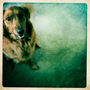 Hip 335552835.606768