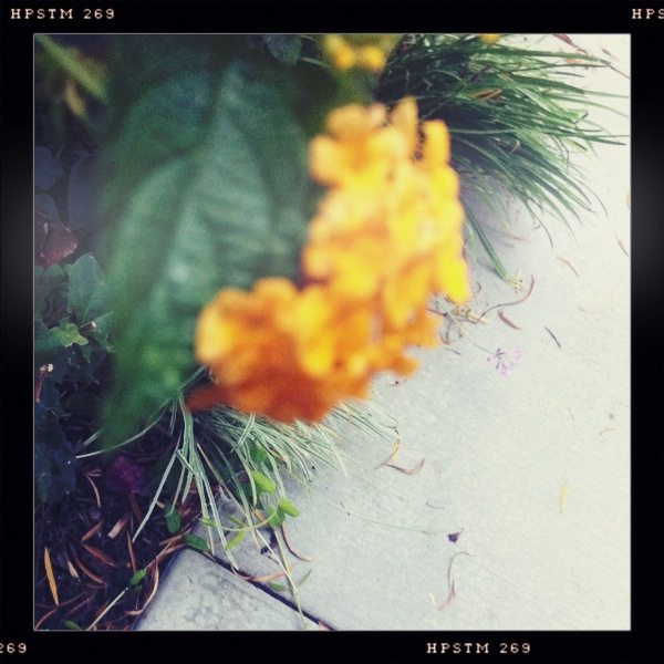 Hip 333033096.295736