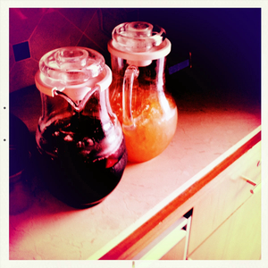 Hip 335562730.880294