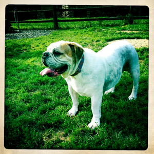 Hip 335480634.991086